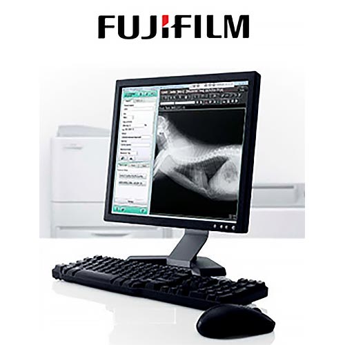 Fujifilm FCRView Console