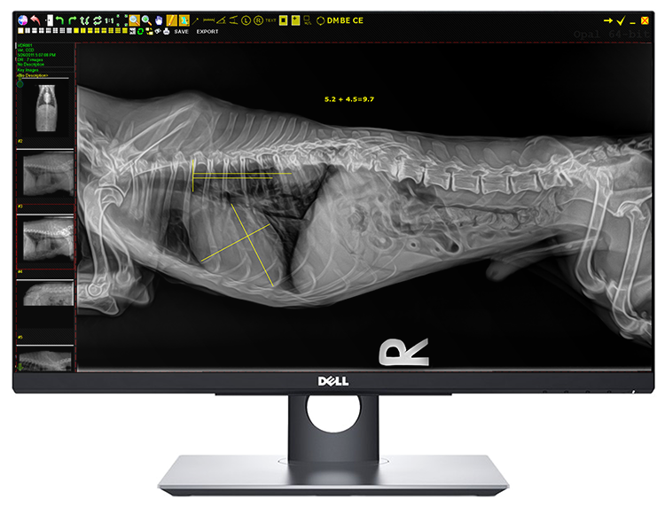 20/20 Imaging Opal-VET 