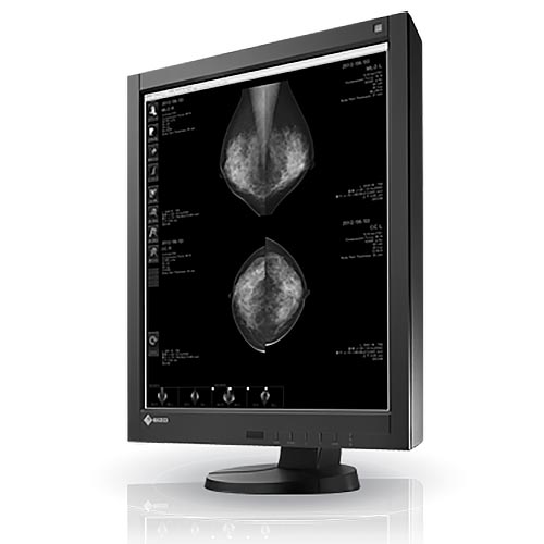 Eizo Radiforce GX540