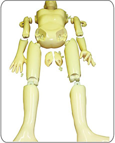 Take-Apart Pixy - Natural Bone