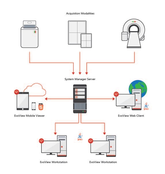 Del Medical EvoView PACS