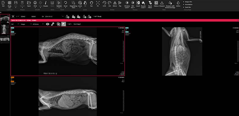 Vieworks / Medlink QXLink 3.3